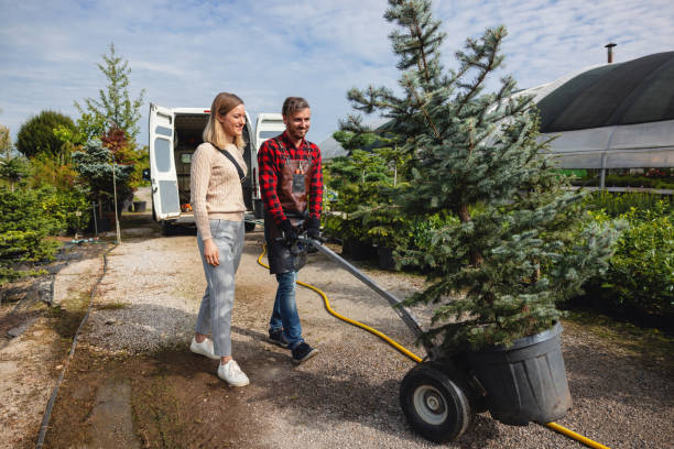 Lawn Grading and Leveling